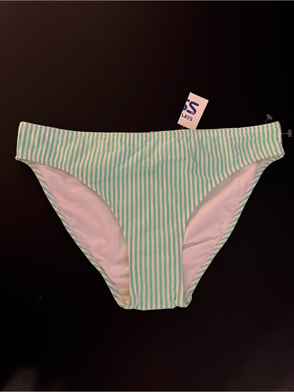 NWT Aerie White and Mint Green Stripe Bikini Bottom
